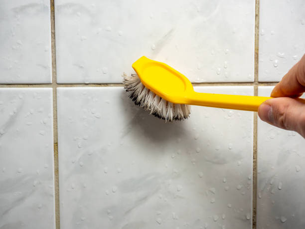 Best Certified Mold Removal  in Miller Place, NY